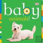 Baby Animals!
