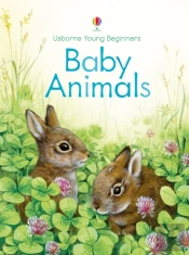 Baby Animals