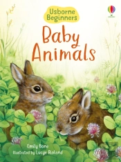 Baby Animals