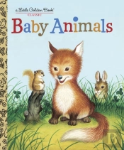 Baby Animals