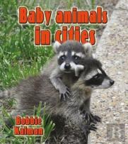 Baby Animals In Cities