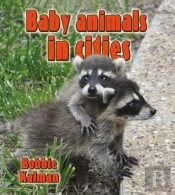 Baby Animals In Cities