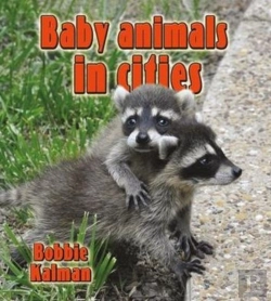 Bertrand.pt - Baby Animals In Cities