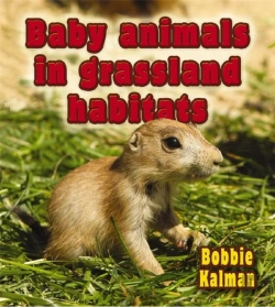 Bertrand.pt - Baby Animals In Grassland Habitats