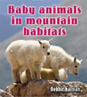Baby Animals In Mountain Habitats
