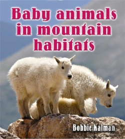 Bertrand.pt - Baby Animals In Mountain Habitats