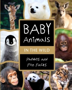 Bertrand.pt - Baby Animals In The Wild