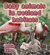 Baby Animals In Wetland Habitats