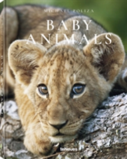 Bertrand.pt - Baby Animals