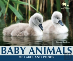 Bertrand.pt - Baby Animals Of Lakes And Ponds