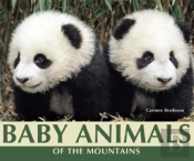 Baby Animals Of The Mountains