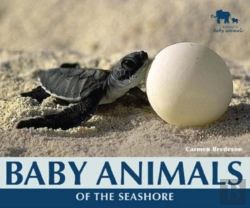 Bertrand.pt - Baby Animals Of The Seashore