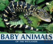 Baby Animals Of The Wetlands