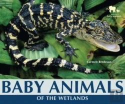 Bertrand.pt - Baby Animals Of The Wetlands