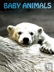 Baby Animals
