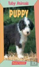 Baby Animals Puppy