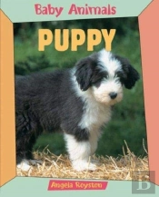Baby Animals Puppy