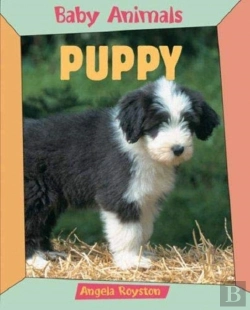 Bertrand.pt - Baby Animals Puppy