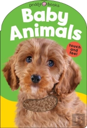 Baby Animals