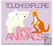 Baby Animals: Touch And Explore