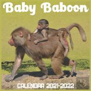 Baby Baboon Calendar 2022