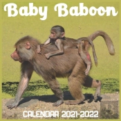 Baby Baboon Calendar 2022