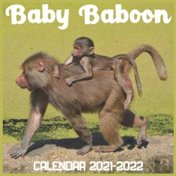 Bertrand.pt - Baby Baboon Calendar 2022