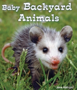 Bertrand.pt - Baby Backyard Animals
