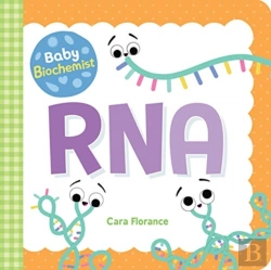 Bertrand.pt - Baby Biochemist: Rna