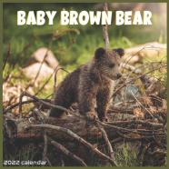 Baby Brown Bear 2022 Calendar