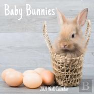 Baby Bunnies 2021 Wall Calendar