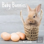 Baby Bunnies 2021 Wall Calendar