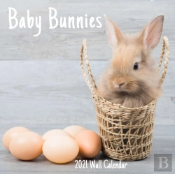 Bertrand.pt - Baby Bunnies 2021 Wall Calendar