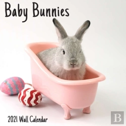 Bertrand.pt - Baby Bunnies 2021 Wall Calendar