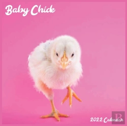 Bertrand.pt - Baby Chick 2022 Calendar