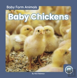 Bertrand.pt - Baby Chickens