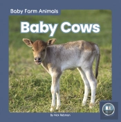 Baby Cows