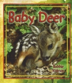 Bertrand.pt - Baby Deer