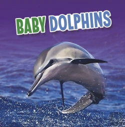 Bertrand.pt - Baby Dolphins