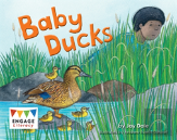 Baby Ducks