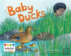 Bertrand.pt - Baby Ducks