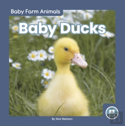 Bertrand.pt - Baby Ducks