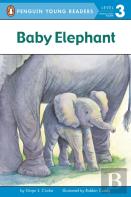 Baby Elephant