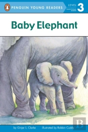 Baby Elephant
