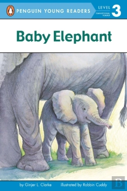 Bertrand.pt - Baby Elephant