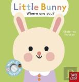 Baby Faces: Little Bunny, Where Are You?