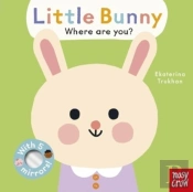 Baby Faces: Little Bunny, Where Are You?