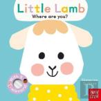 Baby Faces: Little Lamb, Where Are You?