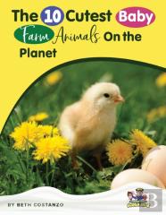 Baby Farm Animals Booklet With Activities For Kids Ages 4-8