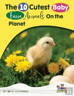 Bertrand.pt - Baby Farm Animals Booklet With Activities For Kids Ages 4-8